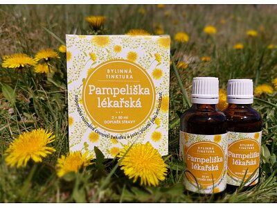Pampeliška lékařská - bylinná tinktura 2x50ml