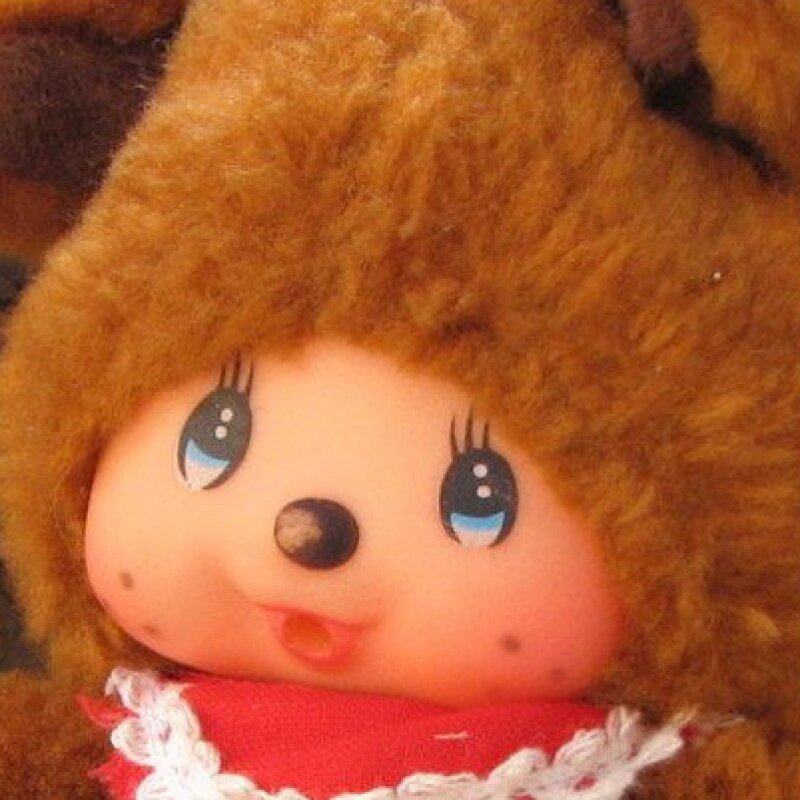 Brown montchitchi