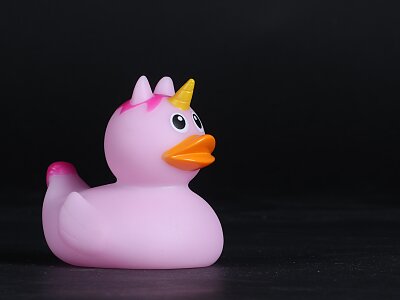 Personal unicorn duck